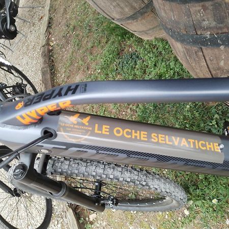 Agriturismo Le Oche Selvatiche Lauzacco Eksteriør billede