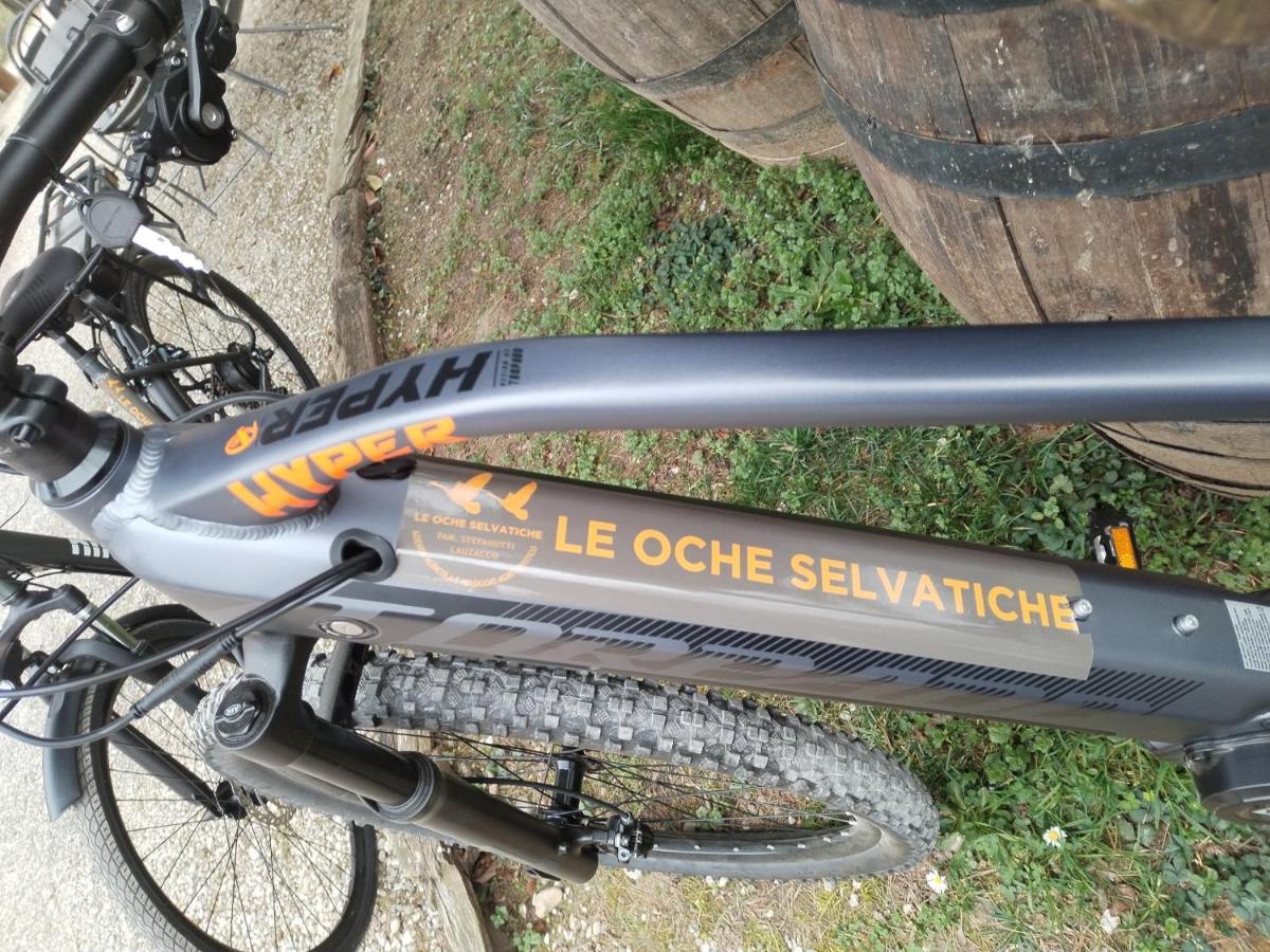 Agriturismo Le Oche Selvatiche Lauzacco Eksteriør billede