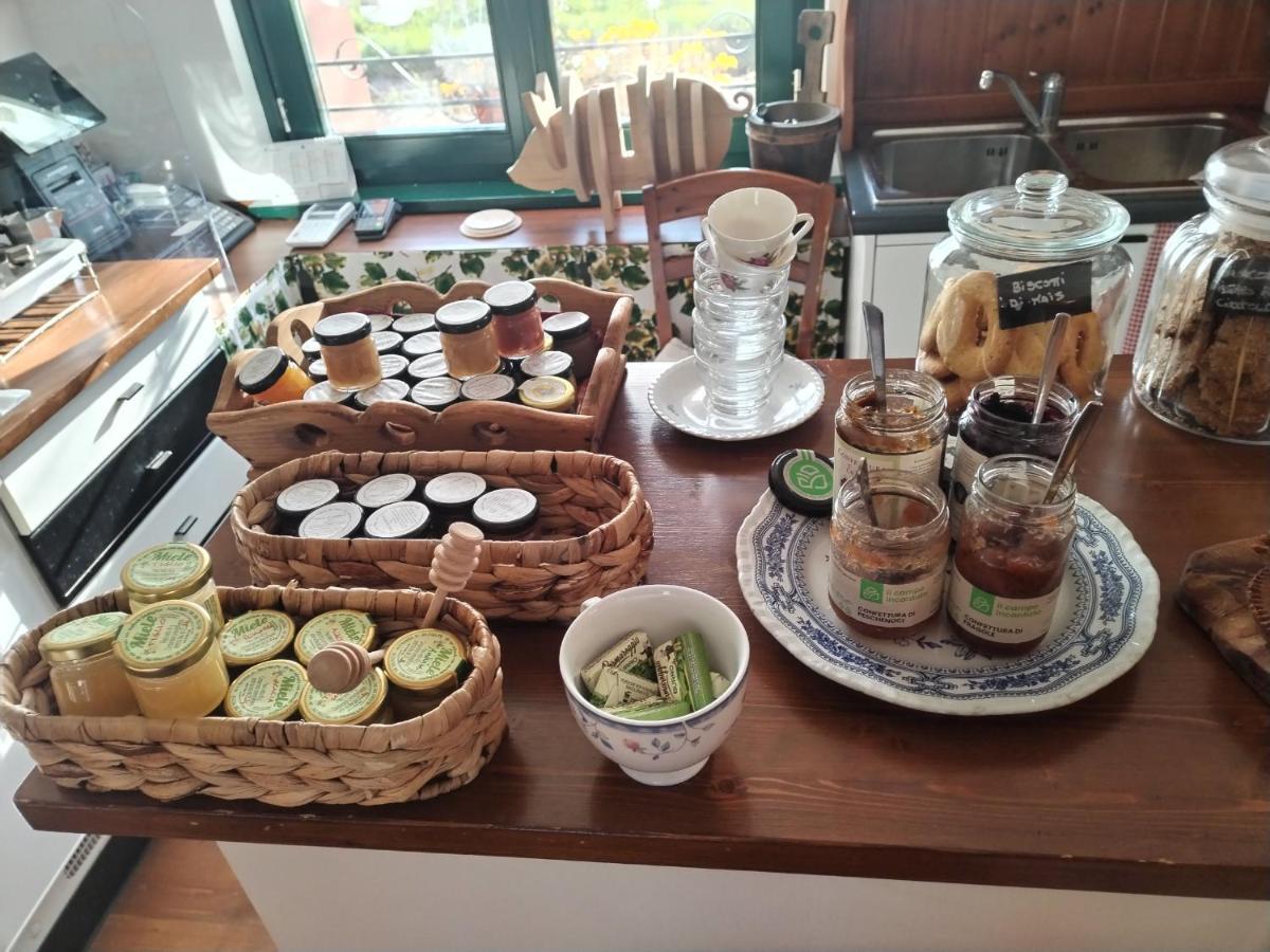 Agriturismo Le Oche Selvatiche Lauzacco Eksteriør billede