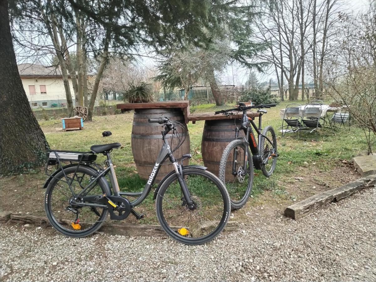 Agriturismo Le Oche Selvatiche Lauzacco Eksteriør billede