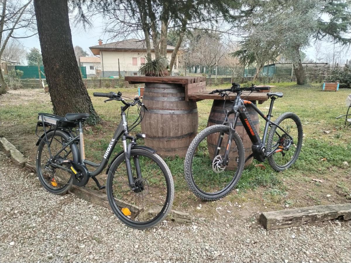 Agriturismo Le Oche Selvatiche Lauzacco Eksteriør billede