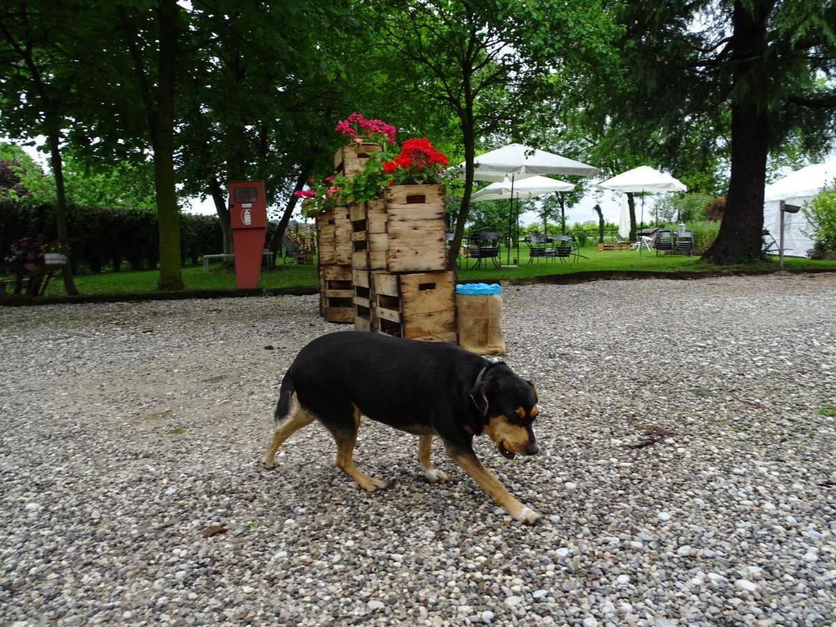 Agriturismo Le Oche Selvatiche Lauzacco Eksteriør billede